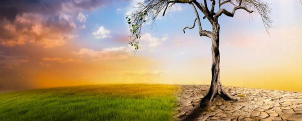Réchauffement climatique