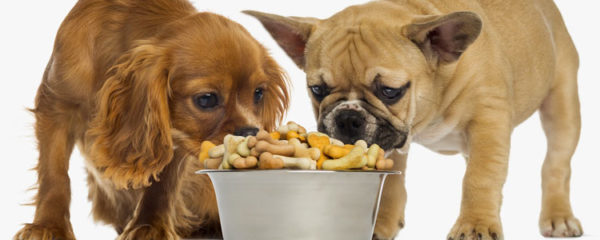Croquettes pour chiens