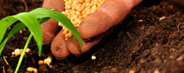 engrais agricole